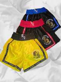 Colorful Muay Thai Shorts